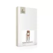 Tech-Protect MagNecklace MagSafe Case with Lanyard iPhone 16 - tok, barna