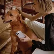 UNIQ Coehl Solitaire tok iPhone 14 Plus/15 Plus 6,7", átlátszó