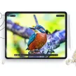 Hofi Paper Pro+ iPad Air 13 (2024) 2db papírhatású matt kijelzővédő fólia, átlátszó-matt