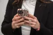 FORCELL F-PROTECT Mirage tok, MagSafe iPhone 15 Plus vad párduc, színes